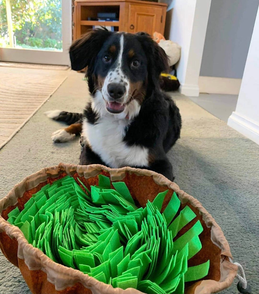 Dog snuffle mat